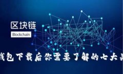 比特币钱包下载后你需要了解的七大关键步骤